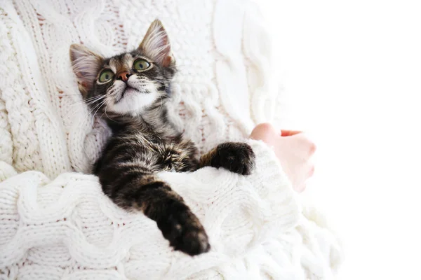 3 månader gammal tabby kattunge med rolig päls fläckar. — Stockfoto