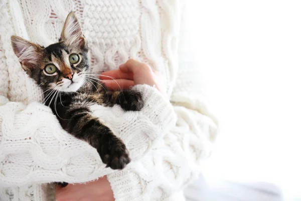 3 månader gammal tabby kattunge med rolig päls fläckar. — Stockfoto