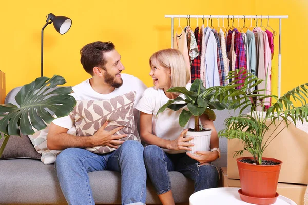 Pareja joven en trajes a juego que se divierten moviendo cajas, aislado en amarillo . — Foto de Stock