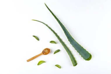 Aloe yaprakları cilt beslenme kavramı olarak düz yatıyordu kompozisyon koydu.
