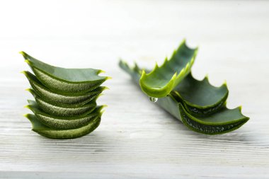 Aloe yaprakları cilt beslenme kavramı olarak düz yatıyordu kompozisyon koydu.