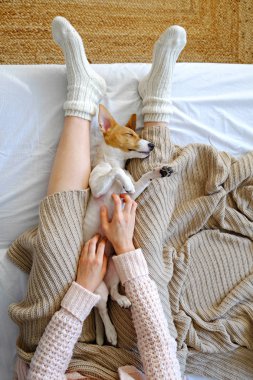 Tanınmayan kadın kısmi iç görünümü ile kanepede onu evcil hayvan köpek ile evde oturan.