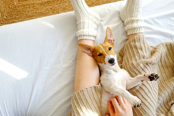 Mujer irreconocible sentada en casa con su mascota perrito en el sofá con vista interior parcial . — Foto de Stock