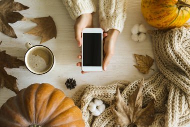 Dokulu arka plan üzerinde sonbahar sezonu sembolik ile Sonbahar üst görünüm kompozisyon.