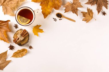 Dokulu arka plan üzerinde sonbahar sezonu sembolik ile Sonbahar üst görünüm kompozisyon.