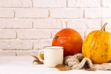 Dokulu arka plan üzerinde sonbahar sezonu sembolik ile Sonbahar üst görünüm kompozisyon.