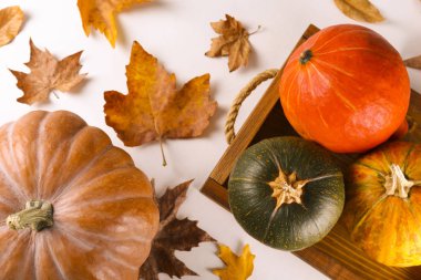 Dokulu arka plan üzerinde sonbahar sezonu sembolik ile Sonbahar üst görünüm kompozisyon.