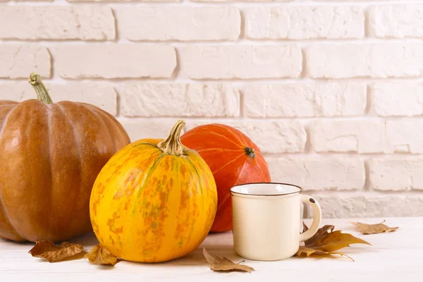 Autumnal top view composition with fall season symbolics on textured background. — Stock Photo, Image