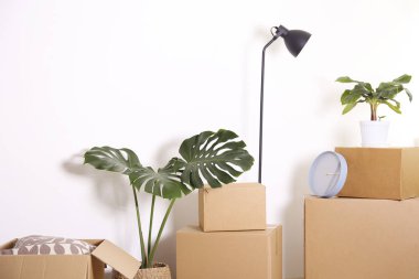 Yeni bir hayata başlıyorum. Yeni bir dairenin minimalist iç kısımlarında istiflenmiş kutular.