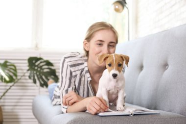 En tatlı iki aylık Jack Russel Terrier köpeği ve güzel sarışın kadın. Komik kürk lekeleri olan küçük sevimli köpek sahibi ile yatıyor. Kapat, kopyala alanı, izole edilmiş arkaplan.