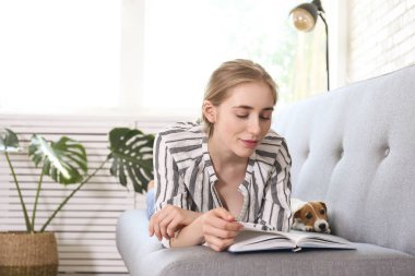 En tatlı iki aylık Jack Russel Terrier köpeği ve güzel sarışın kadın. Komik kürk lekeleri olan küçük sevimli köpek sahibi ile yatıyor. Kapat, kopyala alanı, izole edilmiş arkaplan.