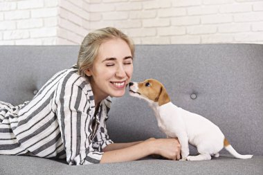 En tatlı iki aylık Jack Russel Terrier köpeği ve güzel sarışın kadın. Komik kürk lekeleri olan küçük sevimli köpek sahibi ile yatıyor. Kapat, kopyala alanı, izole edilmiş arkaplan.