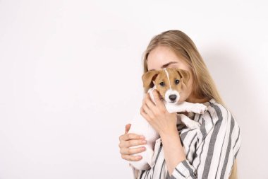 En tatlı iki aylık Jack Russel Terrier köpeği ve güzel sarışın kadın. Komik kürk lekeleri olan küçük sevimli köpek sahibi ile yatıyor. Kapat, kopyala alanı, izole edilmiş arkaplan.