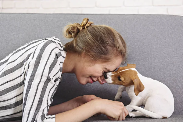 The cutest two months old Jack Russel terrier puppy with beautiful blonde young woman. Small adorable doggy with funny fur stains lying with owner. Close up, copy space, isolated background.