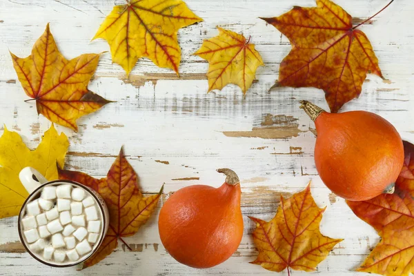 Desenli yüzeyde sembolik nesnelerle sonbahar arkaplanları.