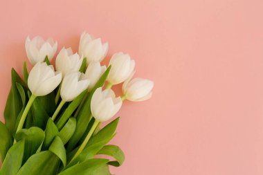 Taze çiçek kompozisyonu, arka planda pembe kağıtlı çift renkli lalelerin düzenlenmesi. Uluslararası Kadınlar Günü, Anneler Günü karşılama konsepti. Boşluğu kopyala, kapat, üst görünüm, düz yatış.