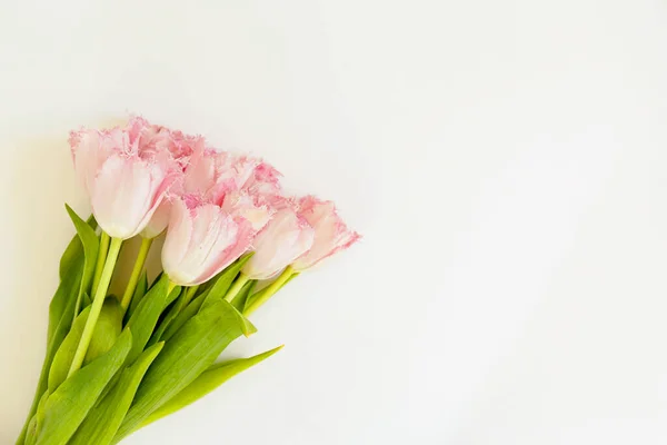 Composition Fleurs Fraîches Arrangement Tulipes Bicolores Sur Fond Texturé Papier — Photo