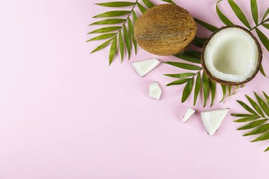 Hindistan cevizlerinin üst görüntüsü, kağıt üzerinde yarıya bölünmüş ve yarıya bölünmüş arka planda metin için bir sürü fotokopi alanı var. Tropik palmiye ağacının çiğ meyveleriyle dolu bir arka plan. Düz yatıyordu.