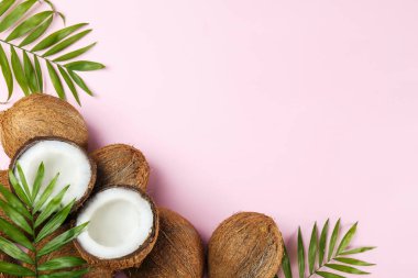 Hindistan cevizlerinin üst görüntüsü, kağıt üzerinde yarıya bölünmüş ve yarıya bölünmüş arka planda metin için bir sürü fotokopi alanı var. Tropik palmiye ağacının çiğ meyveleriyle dolu bir arka plan. Düz yatıyordu.