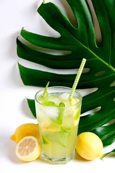 Single glass of iced lemonade with monstera leaf. Studio shot of refreshing non alcoholic mojito drink with lemon slices, mint leaves and ice isolated on white background, close up, copy space.