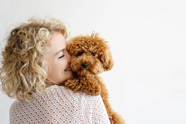 Sevgili sahibinin kollarında sevimli kaniş yavrusu. Yetişkin bir kadınla komik kıvırcık kürklü şirin bir köpek. Kapat, boşluğu kopyala.