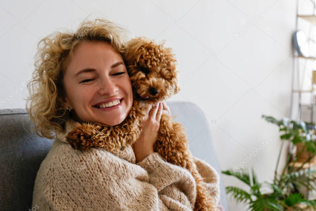 Adorable toy poodle puppy in arms of its loving owner. Small adorable doggy with funny curly fur with adult woman. Close up, copy space.