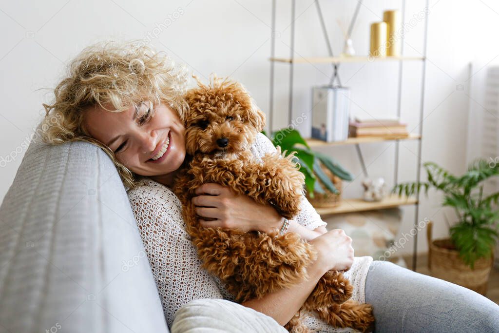 Adorable toy poodle puppy in arms of its loving owner. Small adorable doggy with funny curly fur with adult woman. Close up, copy space.