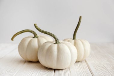 Homurdanmış ahşap dokular üzerinde iki dekoratif balkabağı yakın çekim arka plan parlak bir simge olarak sonbahar tatillerinde metin için bir sürü kopya alanı ile.