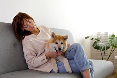 Gri tekstil kanepesinde dokuz aylık Japon akita inusuyla yatan genç bir kadın. Kot pantolonlu bir kadın ve evde dinlenen büyük, komik bir köpek eşliğinde örülmüş bir kazak. Kapat, boşluğu kopyala.