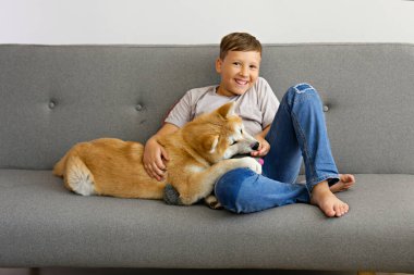 Dokuz aylık Japon akita inu köpeğiyle kanepede oturan bir çocuğun portresi. Mutlu çocuk ve evde oynayan koca bir köpek. Kapat, boşluğu kopyala.