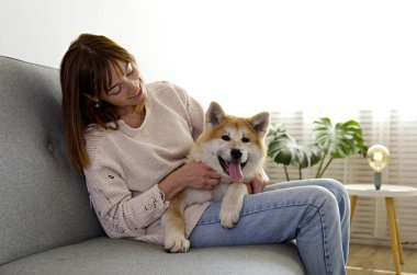 Gri tekstil kanepesinde dokuz aylık Japon akita inusuyla yatan genç bir kadın. Kot pantolonlu bir kadın ve evde dinlenen büyük, komik bir köpek eşliğinde örülmüş bir kazak. Kapat, boşluğu kopyala.