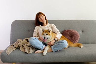 Gri tekstil kanepesinde dokuz aylık Japon akita inusuyla yatan genç bir kadın. Kot pantolonlu bir kadın ve evde dinlenen büyük, komik bir köpek eşliğinde örülmüş bir kazak. Kapat, boşluğu kopyala.