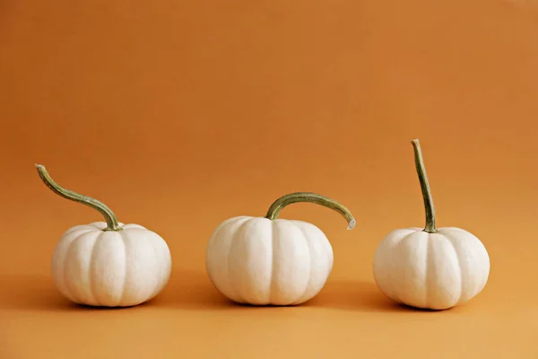 Primer Plano Dos Calabazas Baby Boo Aisladas Sobre Fondo Brillante —  Fotos de Stock