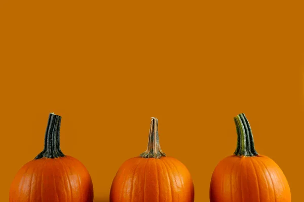 Primer Plano Tres Calabazas Anaranjadas Clásicas Aisladas Sobre Fondo Brillante —  Fotos de Stock