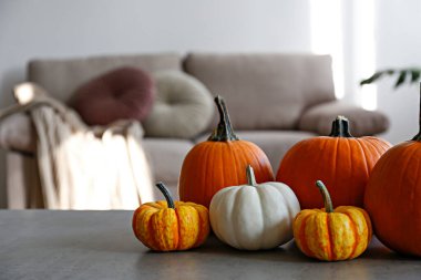 Bir grup klasik portakal, holigan ve mermer masa üzerindeki bebek balkabakları. Sonbahar tatillerinin bir sembolü ve metin için bir sürü kopya alanı var. Oturma odası arka planı, kapatın..