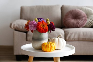 Minimalist tarzı iç mekanı olan boş bir daire vazoda güz buketi ve ön planda mini balkabakları olan bir kahve masası. Metin, arkaplan ve kapatma için boşluk kopyala.