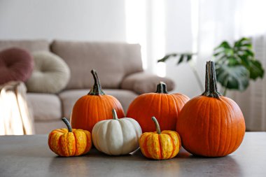 Bir grup klasik portakal, holigan ve mermer masa üzerindeki bebek balkabakları. Sonbahar tatillerinin bir sembolü ve metin için bir sürü kopya alanı var. Oturma odası arka planı, kapatın..