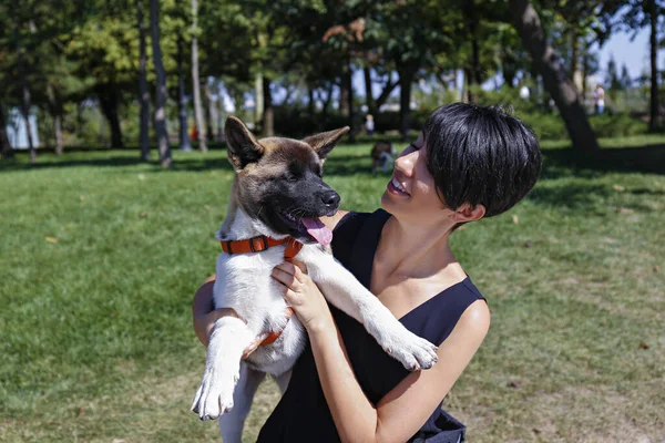 Şehir Parkında Amerikan Akita Inu Köpeğiyle Oynayan Çekici Genç Bir — Stok fotoğraf