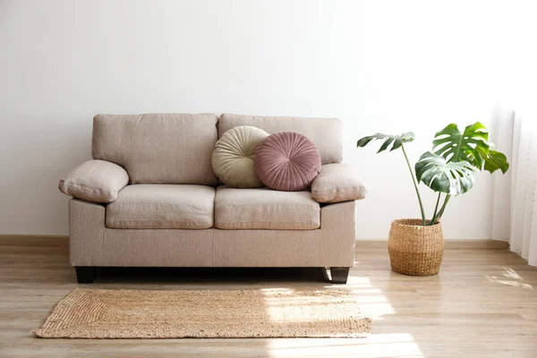 Minimalistic interior design concept. Beige textile sofa and monstera palm in a pot in spacious room of loft style apartment with wood textured laminated flooring. Background, copy space, close up.