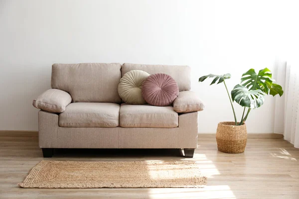 Minimalistisch Interieurconcept Beige Textiel Bank Monstera Palm Een Pot Ruime — Stockfoto