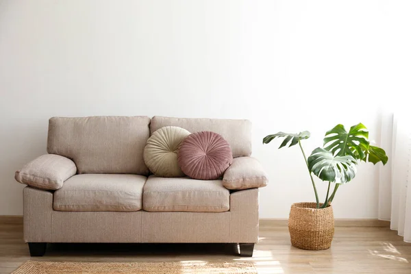 Minimalistic interior design concept. Beige textile sofa and monstera palm in a pot in spacious room of loft style apartment with wood textured laminated flooring. Background, copy space, close up.