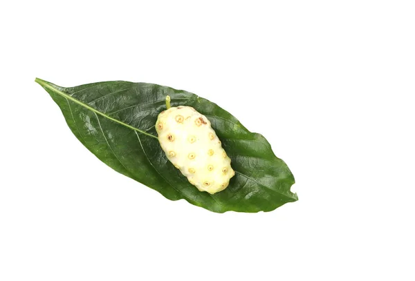 Noni Oder Morinda Citrifolia Früchte Und Grünes Blatt Isoliert Auf — Stockfoto