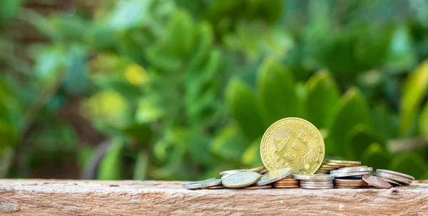 Bitcoin ve doğa arka planındaki madeni paralar