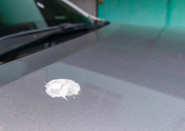 Arabama kuş pisliği döktüm.!