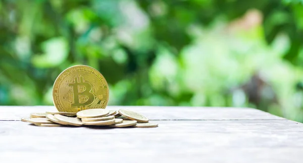 Bitcoin altın madeni para ahşap masa üzerinde doğal arka plan