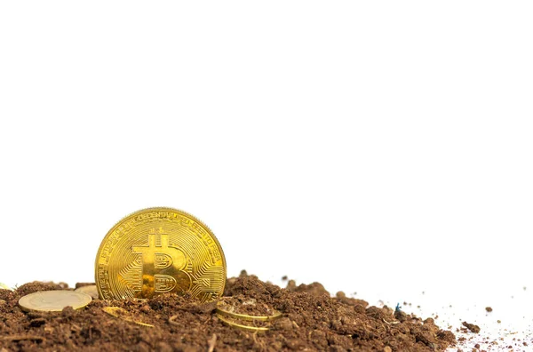 Topraktaki altın sikkeler veya bitcoin Kahverengi arka plandaki Sanal para Gelecek Yatırım Konsepti