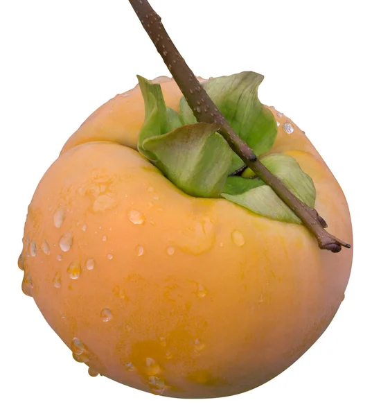 熟した柿のフルーツ カットを濡れています — ストック写真