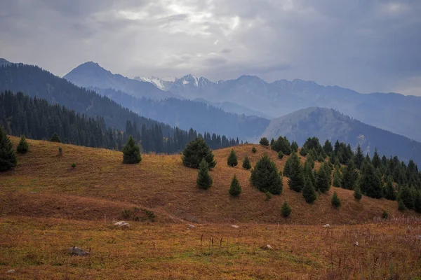 Plateau Kok Zhailau Kazakhstan Almaty — Photo
