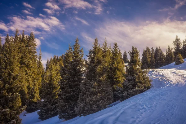 Almatı dağ. Kimasar gorge.