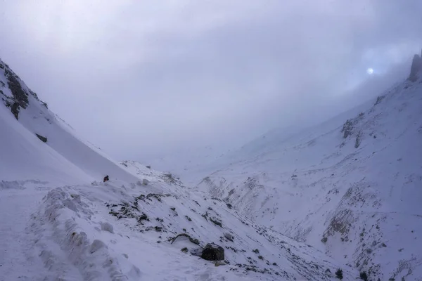 Almatı dağ. Tuyuk-Su gorge.